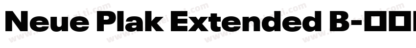 Neue Plak Extended B字体转换